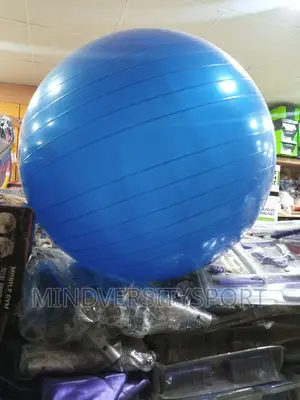 Gym Ball for Fitness