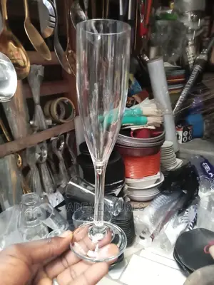 Acrylic Champagne Cup