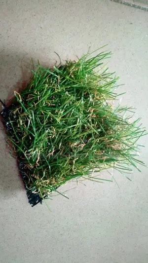 Original & High Quality Artificial Soccer/Football Grass Carpet.