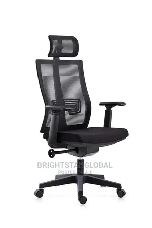 Orthopedic Executive Office Ergonomic Mesh Chair