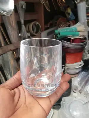 Acrylic Whiskey Cup