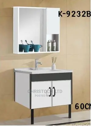 Cabinet Basin-K9232b