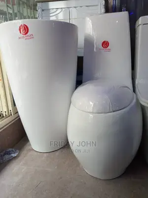 White Egg Shaped Toilet