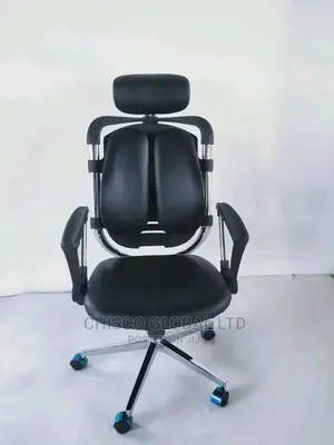 Office Chair {Orthopedic}