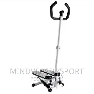 Standing Mini Stepper