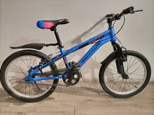 Bicycle for Kids