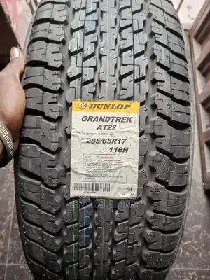 285/65r17 Dunlop Tire