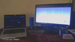 Website and Software Developer