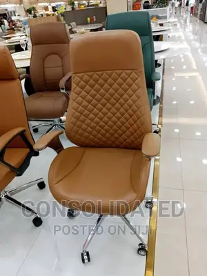 Executive Ergonomic Office Chair