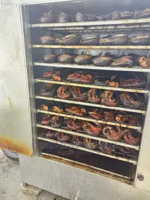 Fabricated Oven for Drying Fish
