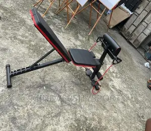 Adjustable Sit-Up Bench