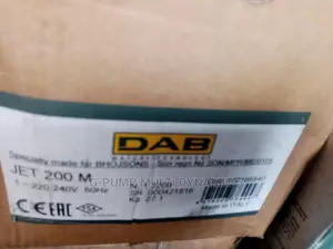 Two Horsepower Surface Dab, Original Italian Pump