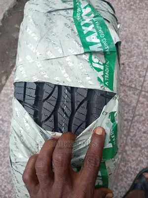 225/65r17 Maxxis Tire