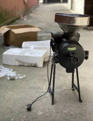 Industrial Wet and Dry Grinding Machine