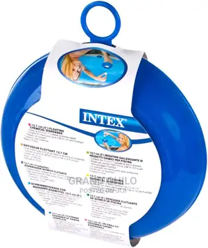Intex Chlorine Dispenser