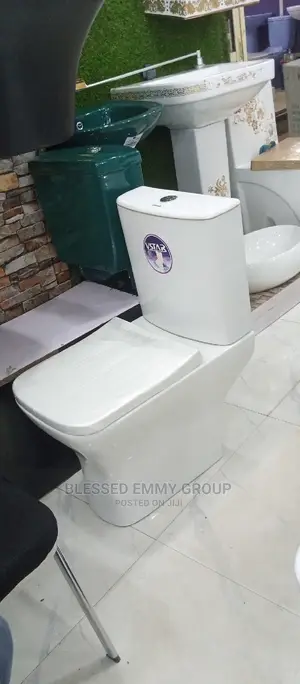 Quality VSTAR Top Flush Ceramic Water Closet.