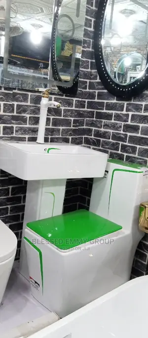 Executive Double Colour England WC Set With the Basin