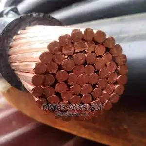 Single Armored Cable