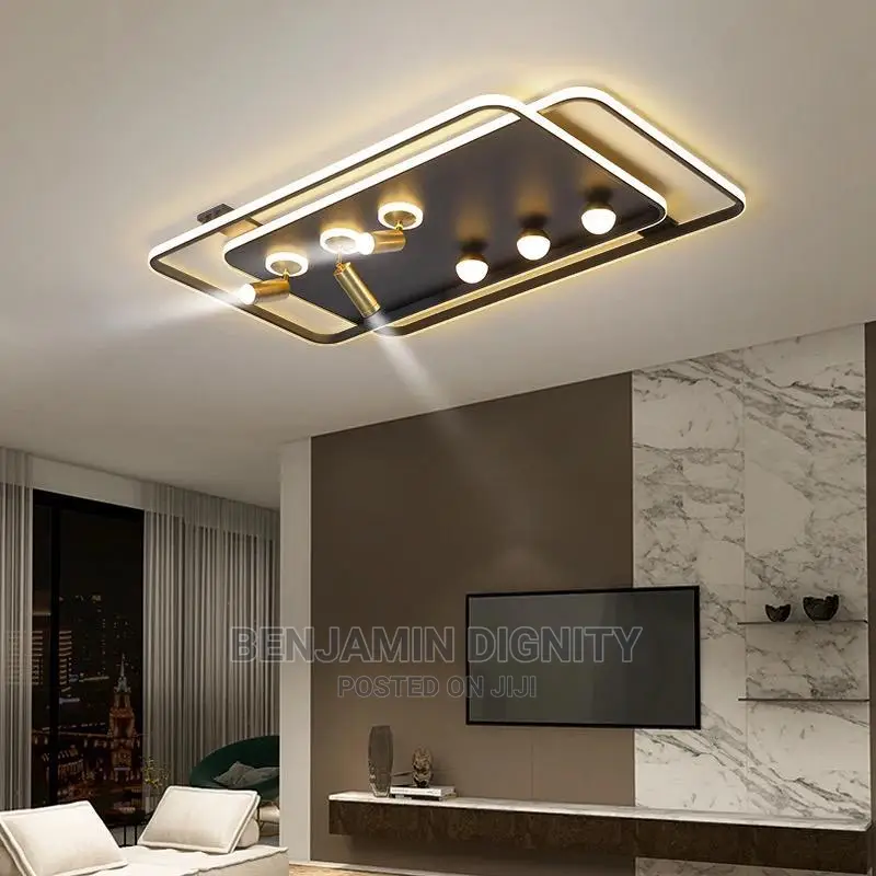 Modern Led Ceiling Light