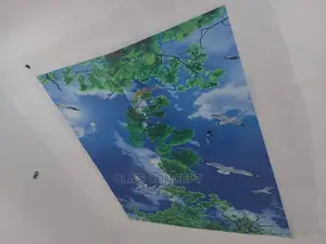 Quality Epoxy 3d Celling