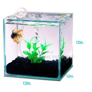 Pet Fish + Complete Children Aquarium - Instant Delivery