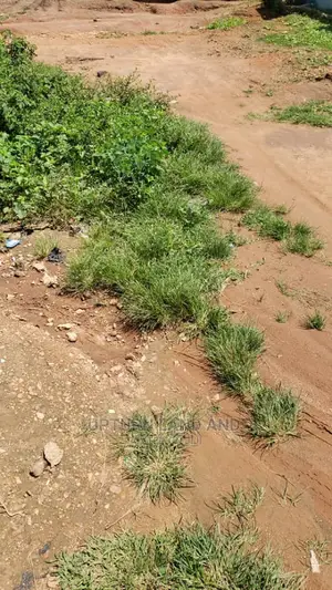 Giveaway Land for Commercial and Industrial Purposes at Yaba