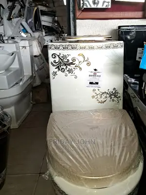 White and Gold Toilet