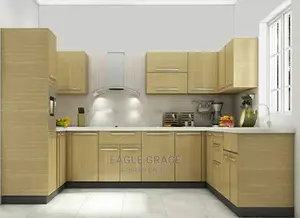 Exotic Kitchen Cabinets