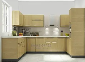 Exotic Kitchen Cabinets