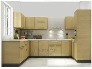 Exotic Kitchen Cabinets