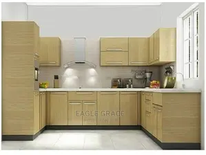 Exotic Kitchen Cabinets