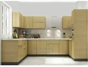 Exotic Kitchen Cabinets