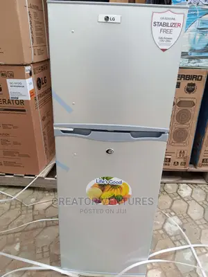 Lg Double Door Refrigerator Low Voltage , Fast Cooling