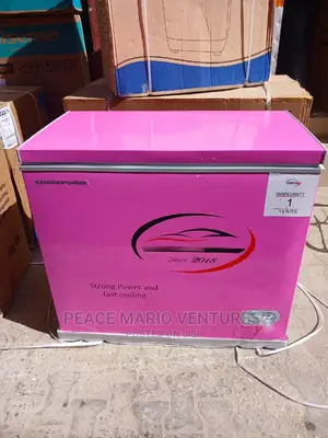 Quality Cheerpower Deep Freezer 300L With 2years Warranty