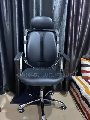 Kidney / Ergonomic Chair