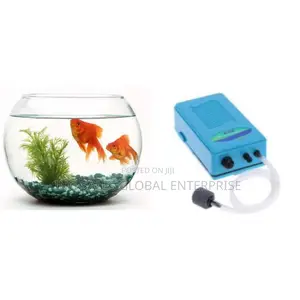 10 Liters Fishbowl Kit With 2 Goldfish and Battery Airpump