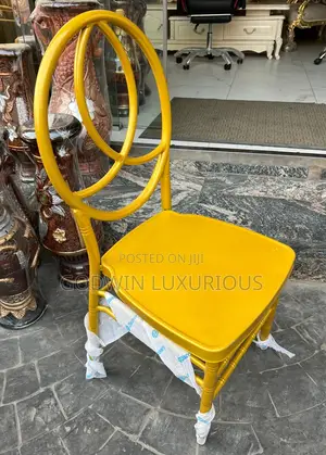 Dior Chairs ( Iron )