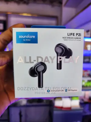 Anker Soundcore Life P2i