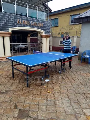 Outdoor SMC Table Tennis Board DYR