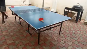 Original Outdoor Table Tennis