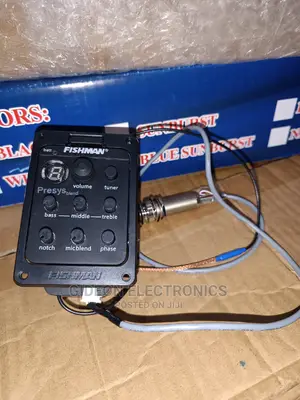 Fishman Guitar Pick Up. Or Pre Amp