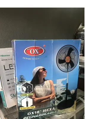 Standing Rechargeable Fan Ox Hexa 18 Inches