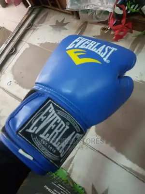 Everlast Boxing Glove in Size 12oz, 14oz,16oz