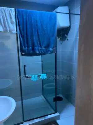 Professional House Cleaning Service