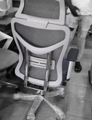 Luzury Ergonomic Office Chairs With Headrest