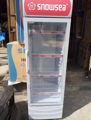 Single Door Display Chiller 300l
