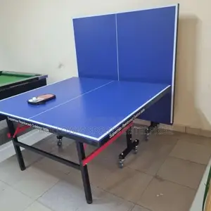 Outstanding Outdoor Table Tennis