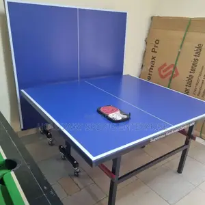 Professional Outdoor Table Tennis + Free Delivery