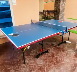 Lastest Standard Table Tennis Board
