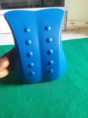 Foam Lumbar Support